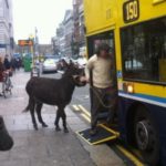 Funny Irish Photos