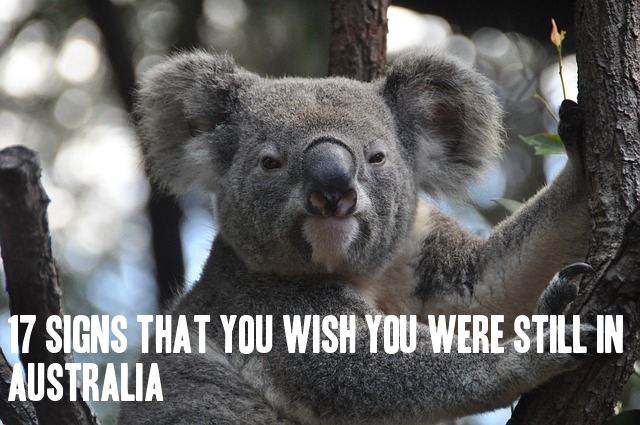 17 Signs That You WISH You Were Still In Australia - Irish Around Oz