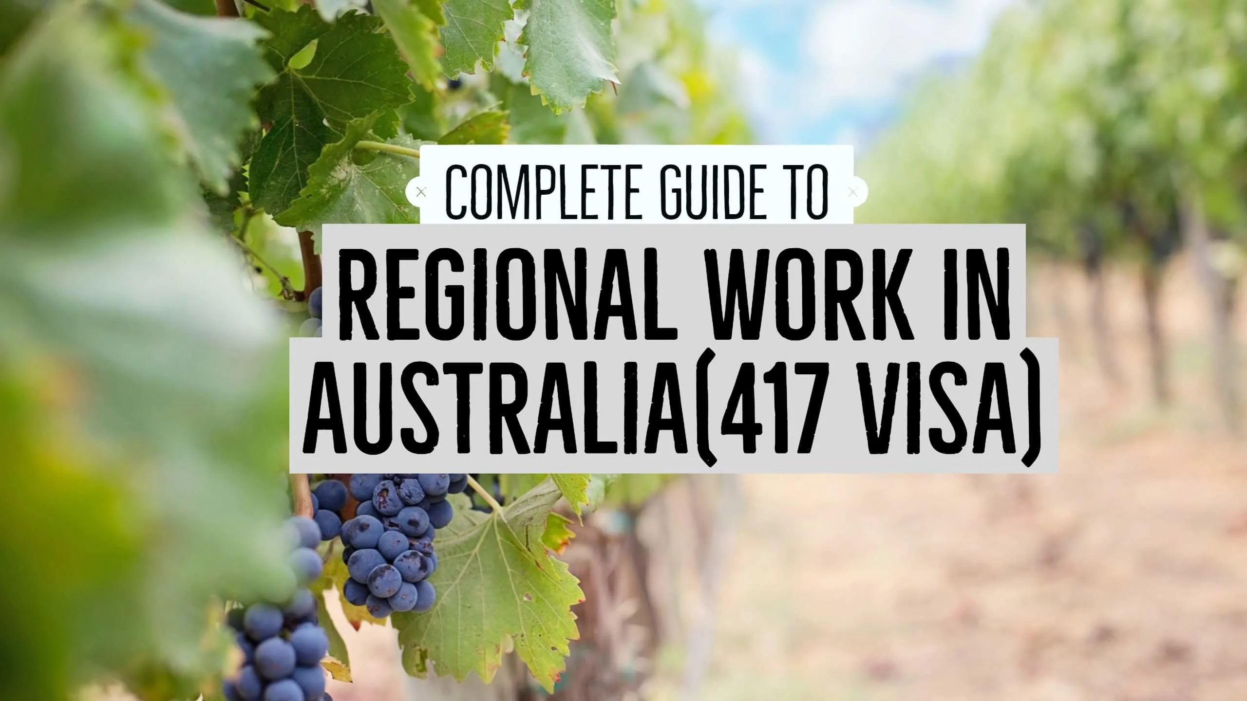 complete guide to regional work in Australia working holiday visa (1)