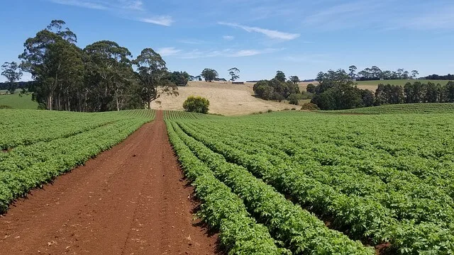 farms australia where to find regional work in Australia (1)