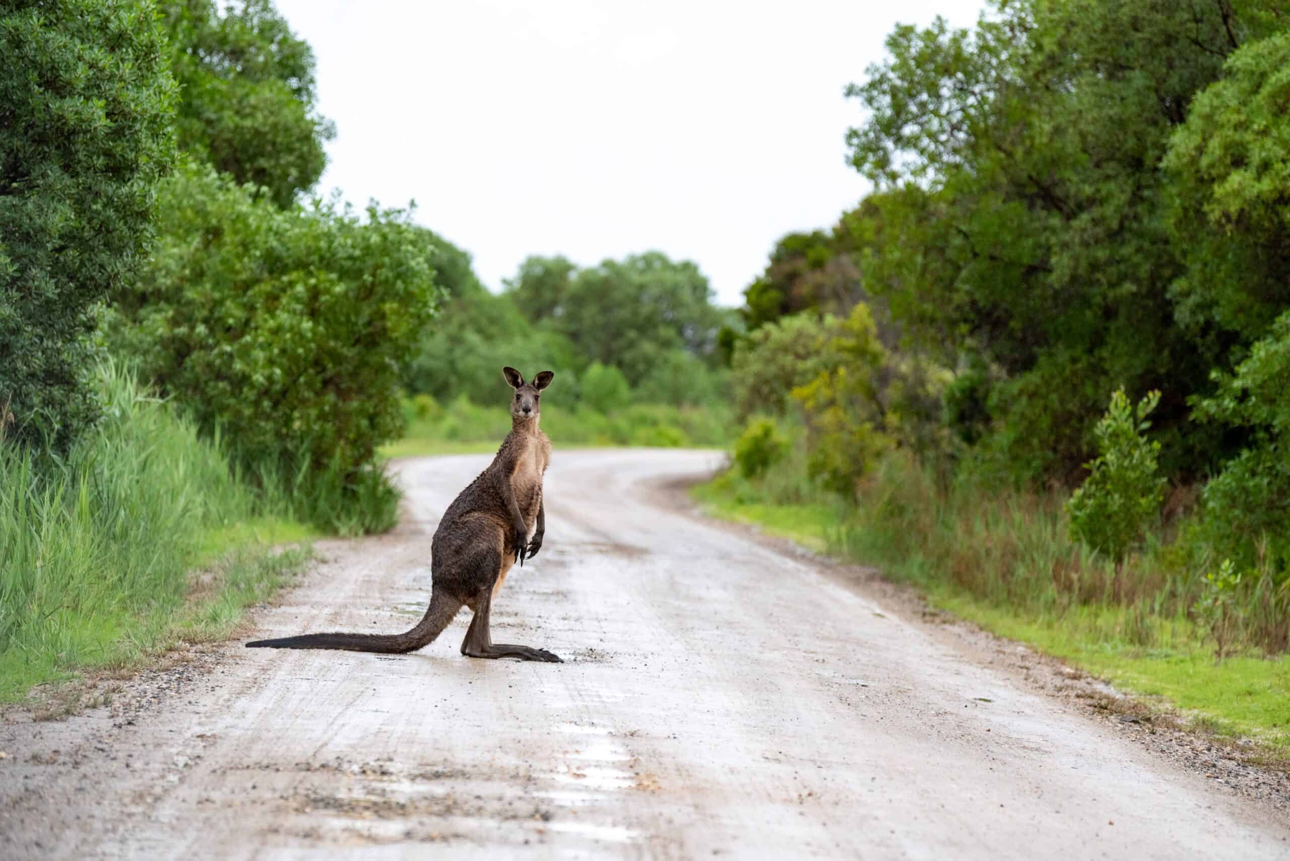 10 things that happen when you move to Australia